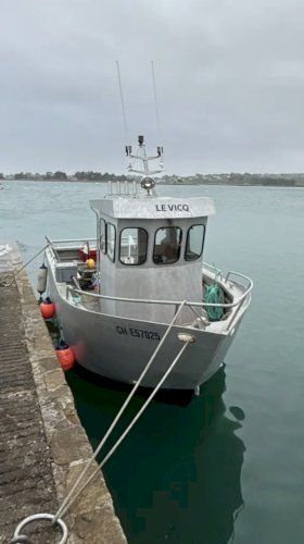 Vedette alu 6,50m