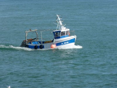 Boat for sale, boat with small business