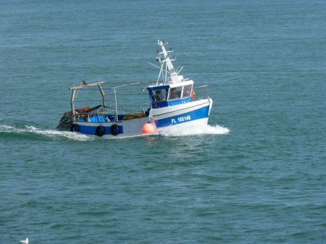 Vend bateau bateau avec pme 