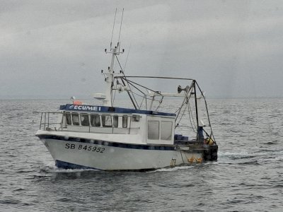 Vend bateau polyvalent 