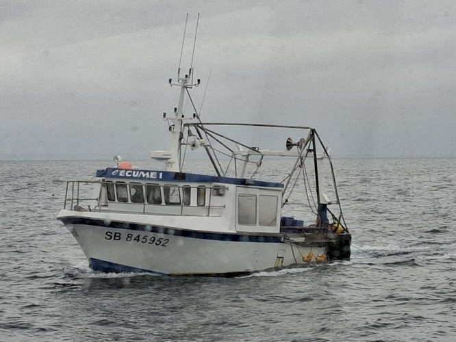 Vend bateau polyvalent 