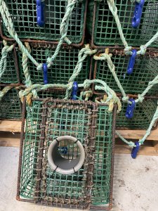Octopus traps for sale