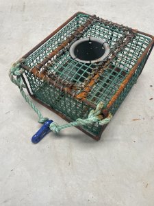 Vend casiers à poulpe 