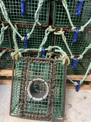 Vend casiers à poulpe 