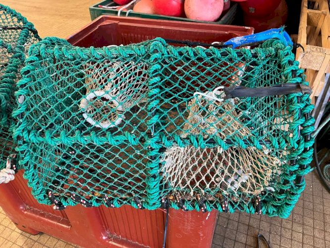 Vends 105 casier a poulpe 30€ /Unité