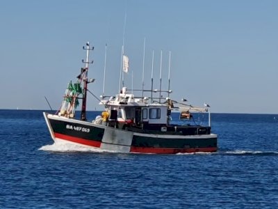 Vends bateau de pêche