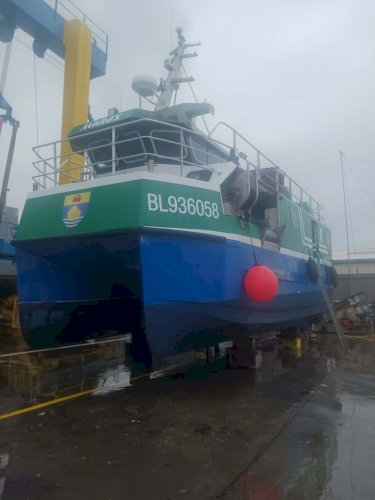 Vends Bateau de pêche Catamaran fileyeur, caseyeur, ligneur cause retraite 