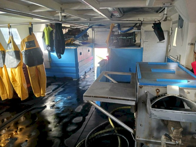 Vends Bateau de pêche Catamaran fileyeur, caseyeur, ligneur cause retraite 