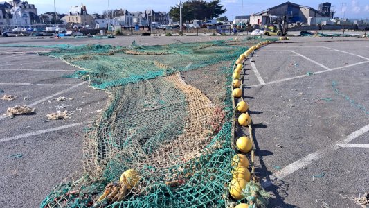 Fish trawls for sale