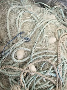 Vends filets droits à pattes