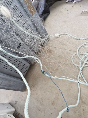 Vends filets droits à pattes