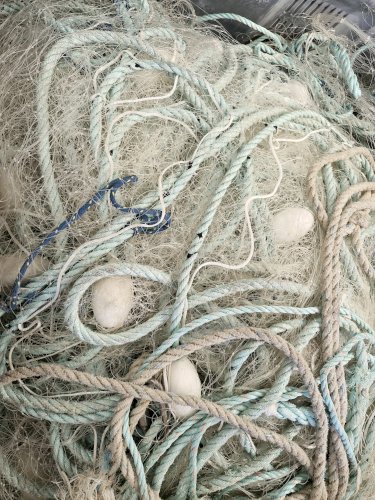 Vends filets droits à pattes