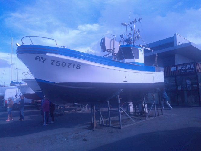 Vends LIGNEUR POLYVALENT