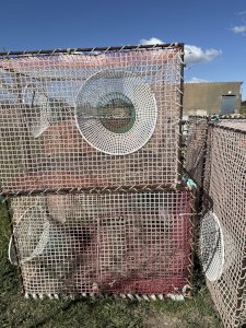 Vente casier à homard et congre 1m 50 sur 1 