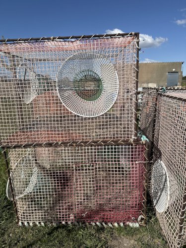 Vente casier à homard et congre 1m 50 sur 1 