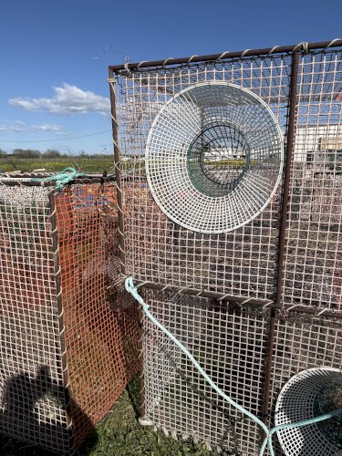 Vente casier à homard et congre 1m 50 sur 1 