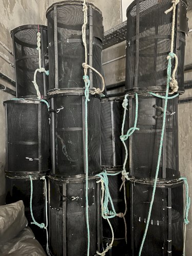 Vente de casiers à crevettes – Matériel professionnel