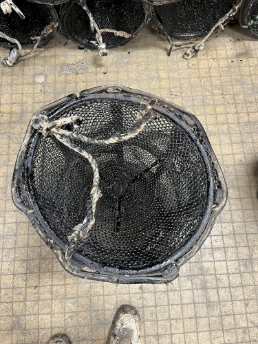 Vente de casiers à crevettes – Matériel professionnel
