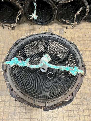 Vente de casiers à crevettes – Matériel professionnel