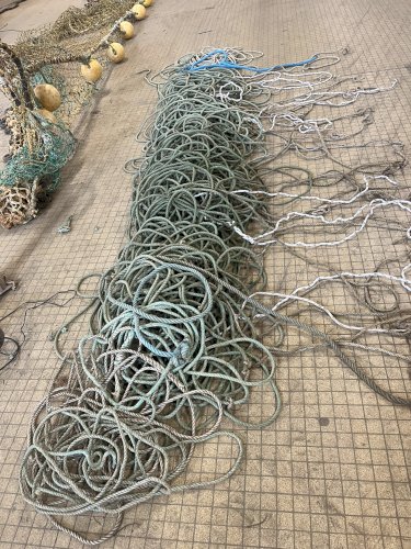 Vente de casiers à crevettes – Matériel professionnel