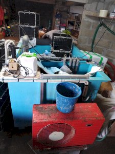 2500 l fish farm